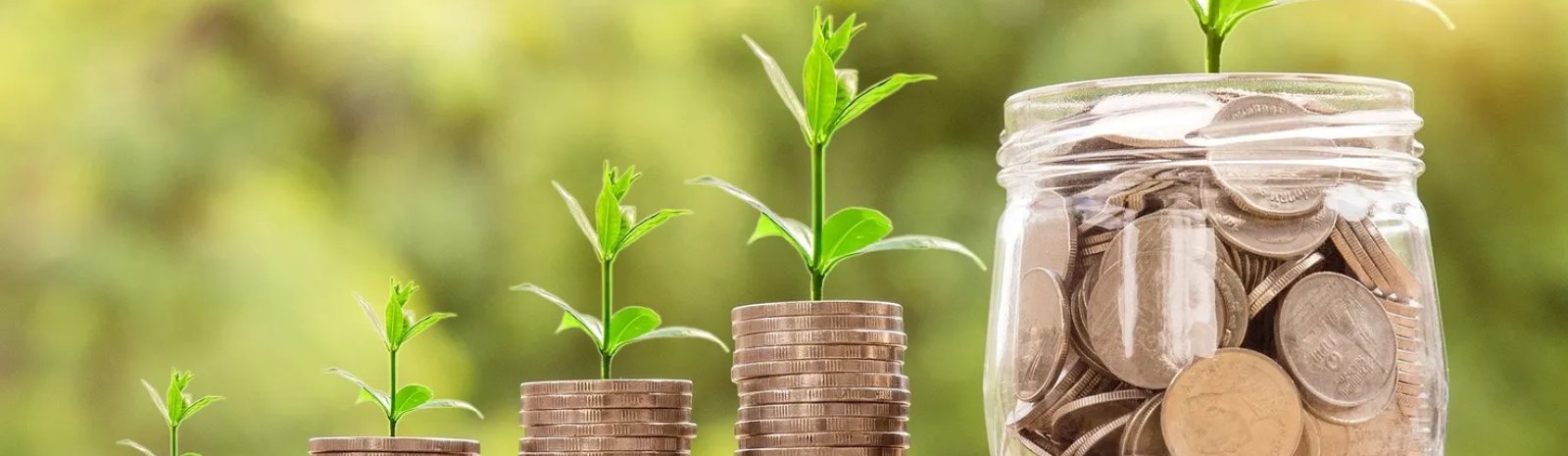 a jar full of coins with a growing plant coming from it